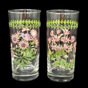 Vintage Portmeirion Botanic Garden 16oz Tumbler Glasses Set of 2